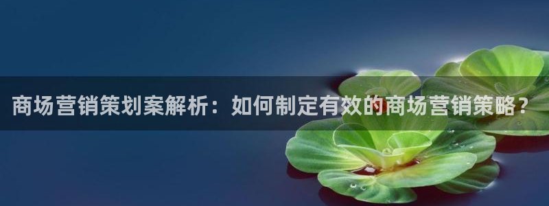 必赢下载安卓版最新版