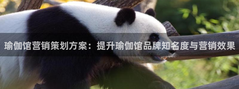 必赢手机app下载抢红包