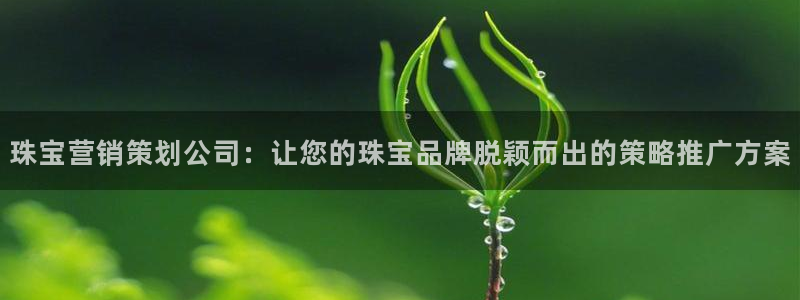 9965必赢游戏版本