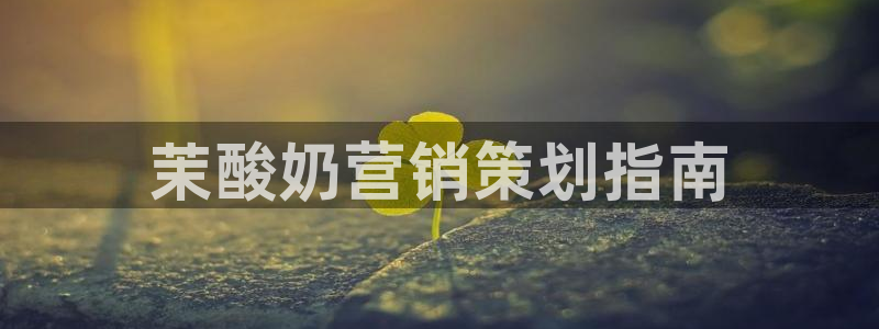 必赢网站是多少啊