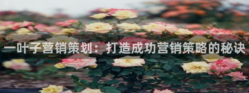 必赢官网app下载安装苹果版