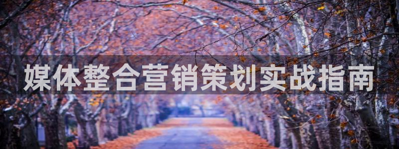 必赢app客户端下载