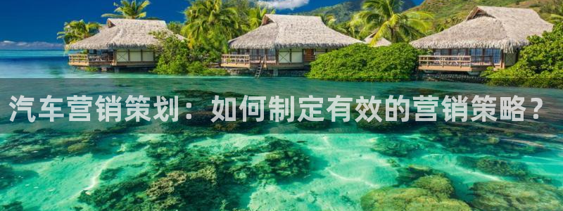 必赢国际技巧