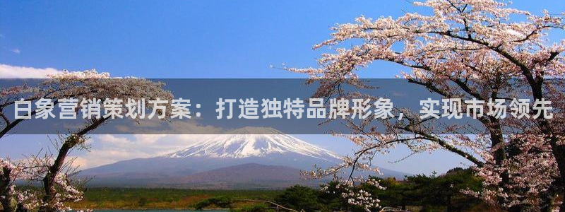必赢网址手机主页打不开