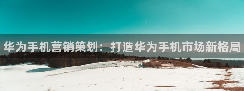 必赢3003网官
