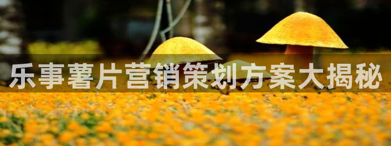 必赢官网app下载安装手机版苹果