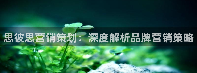 必赢手机app下载最新版安卓苹果可以用吗