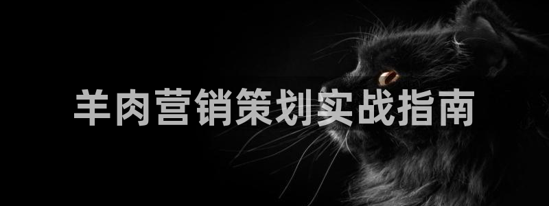 必赢必赢