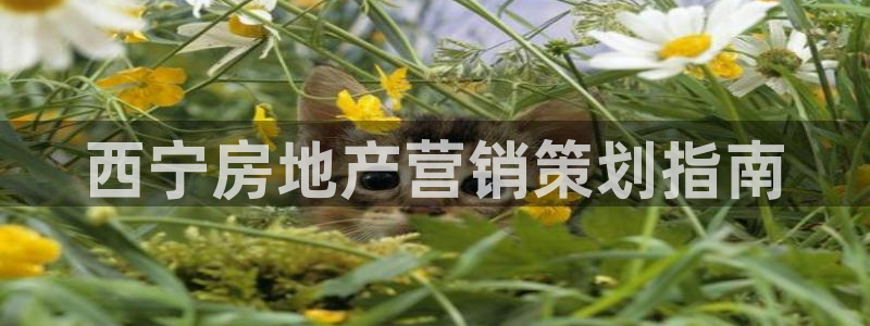 必赢官网网站入口网址