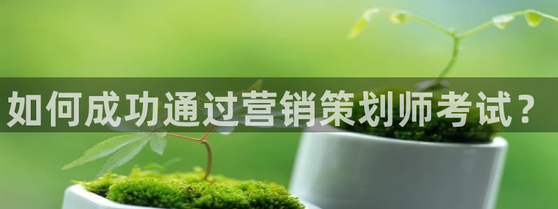 必赢官网网址8873