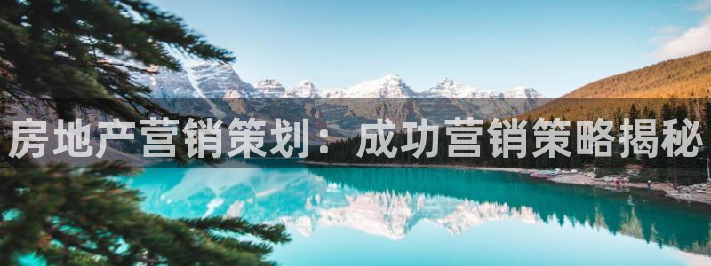 必赢app安卓版下载