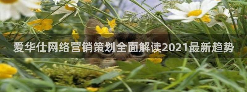 必赢平台官方网址