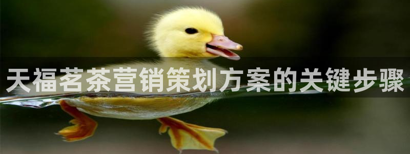 必赢官网入口下载app