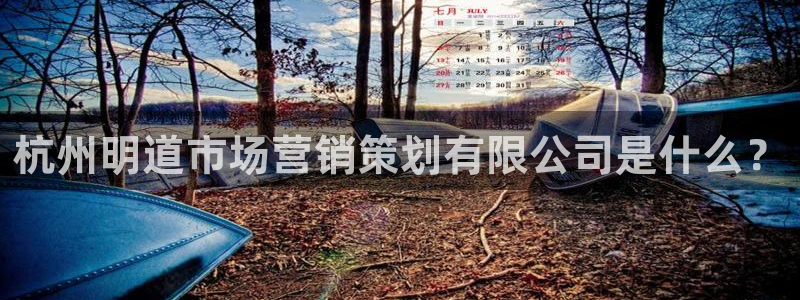 必赢集团怎么样