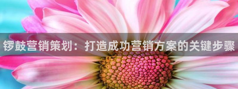 必赢图片
