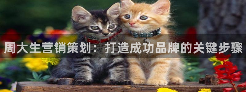 必赢app客户端下载官网手机版