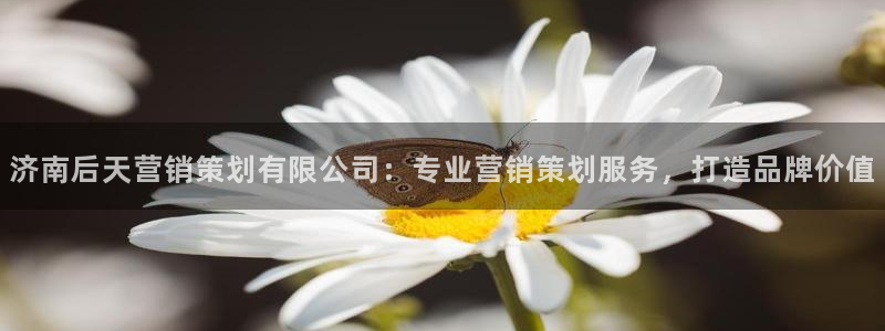 必赢下载安卓版官网