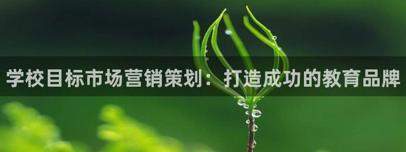 必赢资讯下载