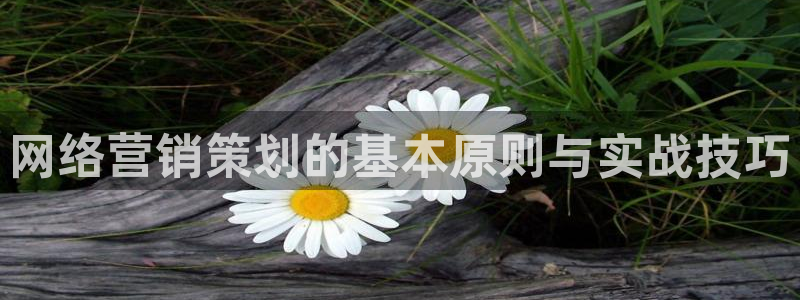 必赢的意思是什么