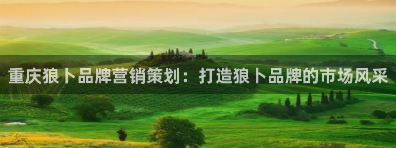 必赢科技中国有限公司