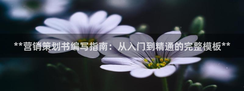 必赢平台怎么样