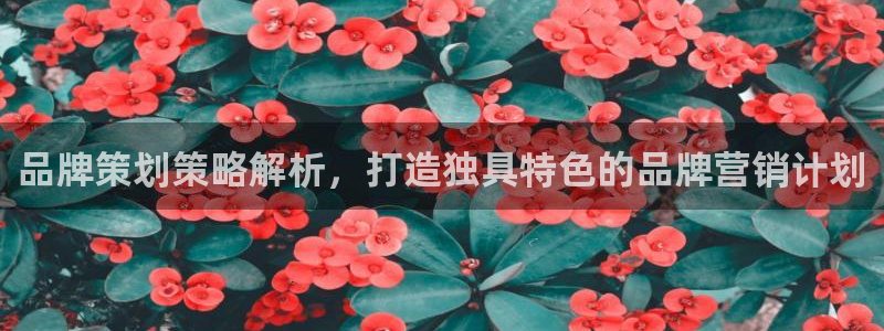 必赢官网app下载安装