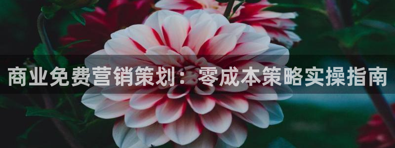 7321必赢安全吗