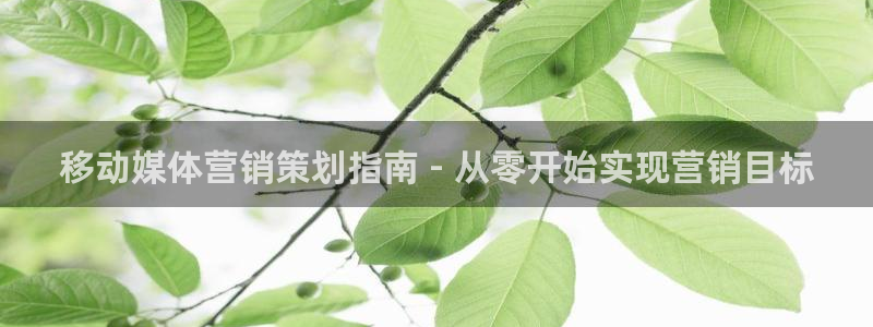 必赢线上网址是什么