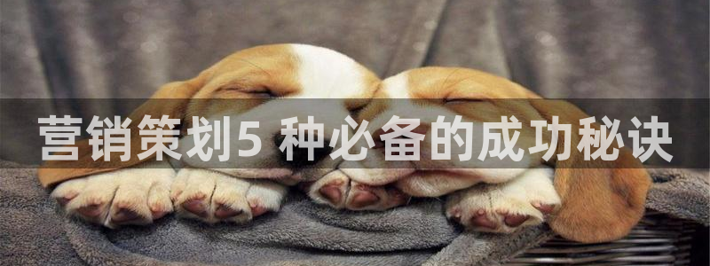 必赢下载官方