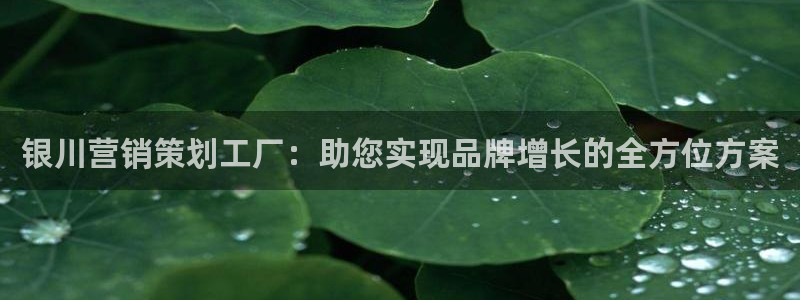 必赢最新网页