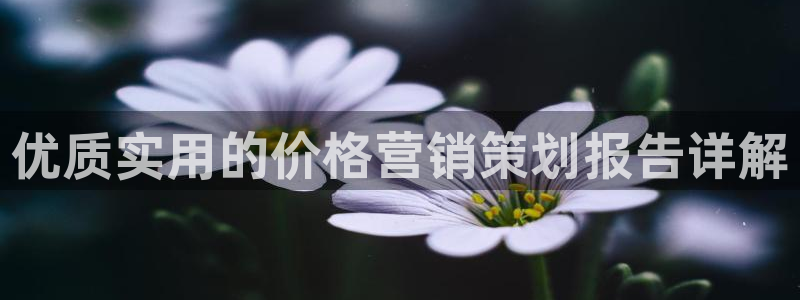 必赢集团怎么样
