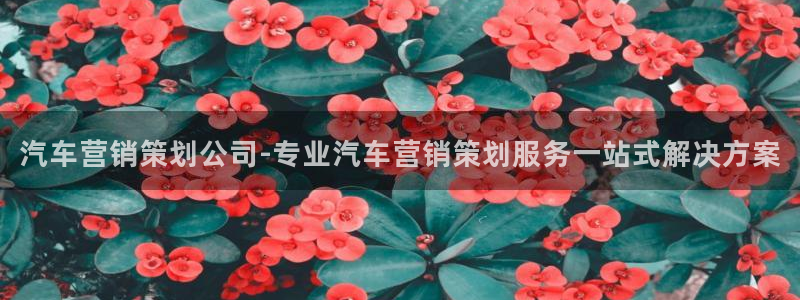 必赢官网网址多少号登录不了