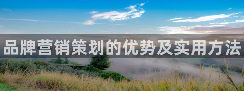 必赢766