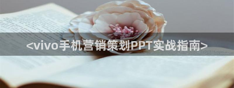 必赢亚赢网站官网下载