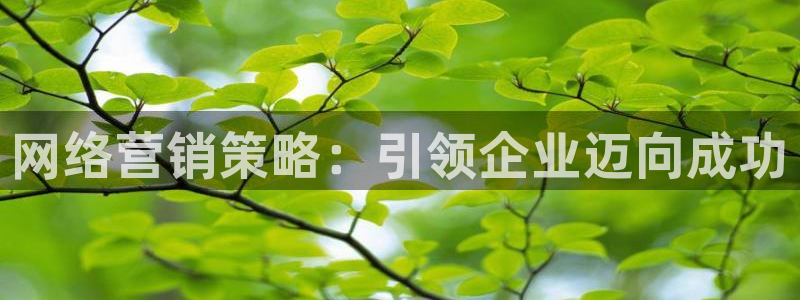 必赢官网下载