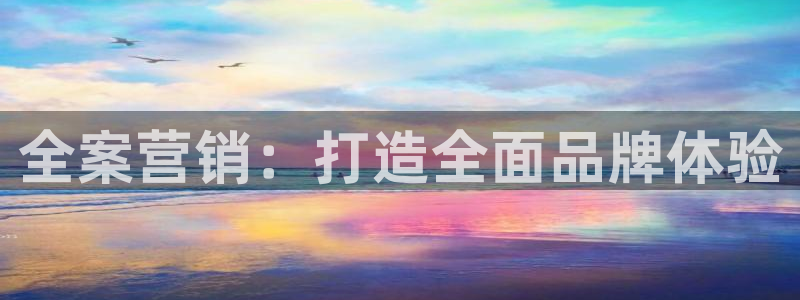 必赢网站打不开