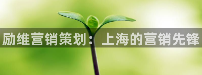 必赢平台网