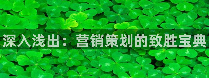 必赢棋盘app下载