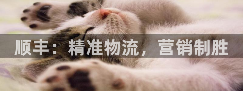 必赢官网下载app
