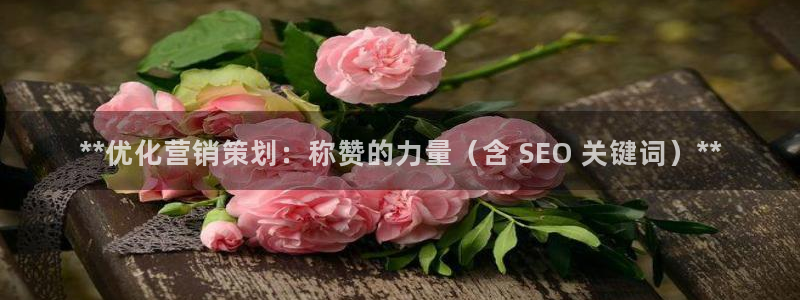 必赢官网网站