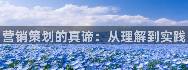 必赢7231