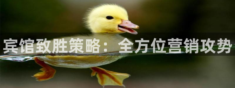 必赢集团网站官网