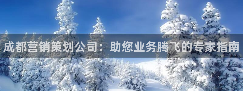 必赢下载安卓版