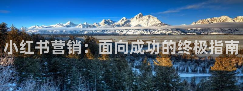 必赢国际怎么样