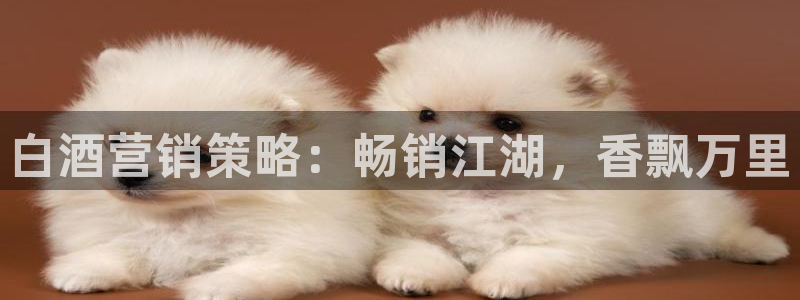 437437必赢国际怎么充不了钱