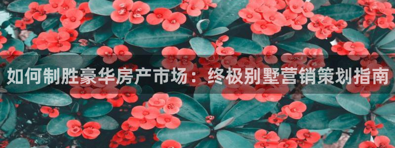 必赢官网app下载苹果