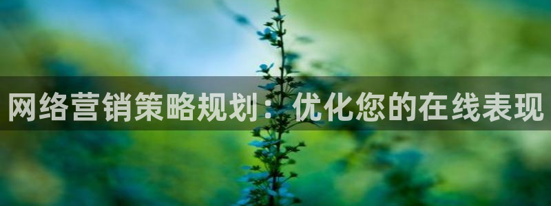 必赢集团网站首页