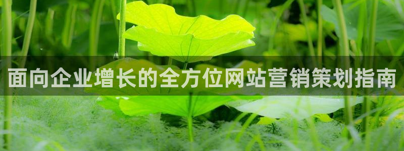 必赢官网app下载苹果