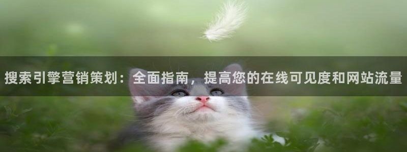 必赢国际437