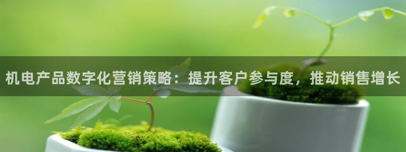 必赢3003必赢贵族宾会